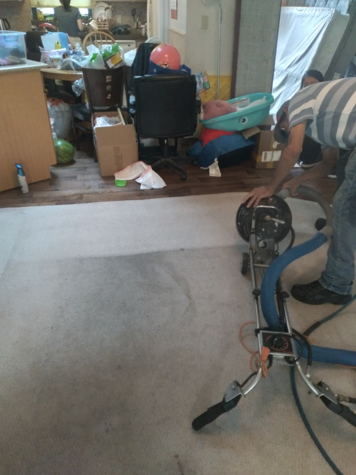 Carpet Restoration